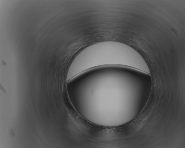 X0000091100080200708061032