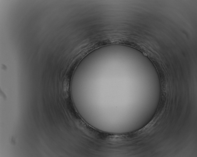 X0000091100082200708061032