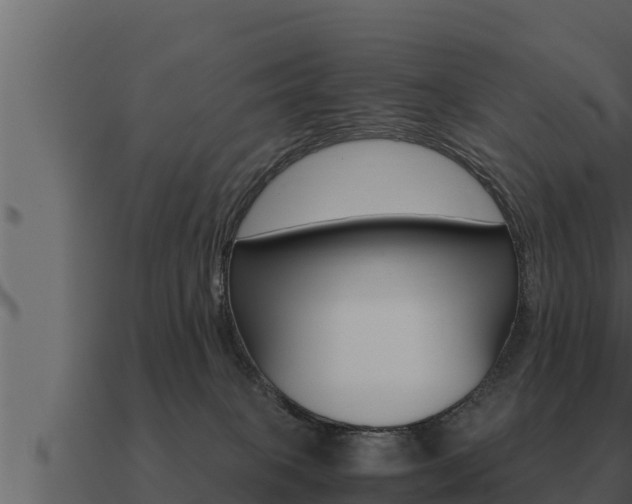 X0000091100085200708061032