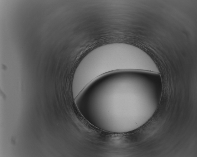 X0000091100088200708061032