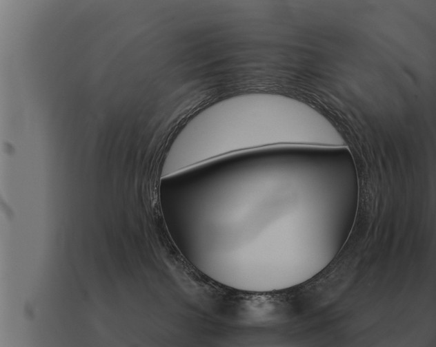 X0000091100091200708061032