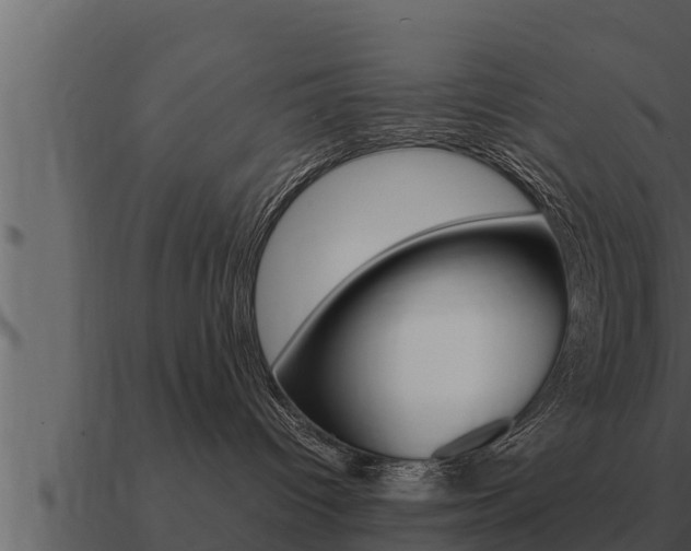 X0000091100096200708061032