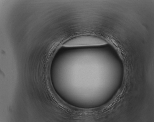 X0000091100097200708061031