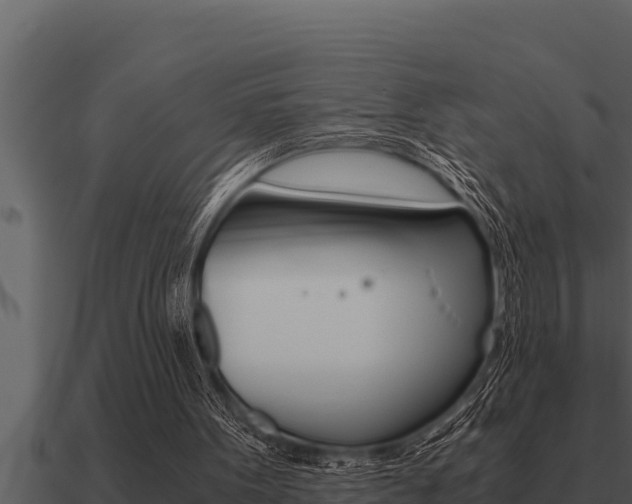 X0000091100099200708061031