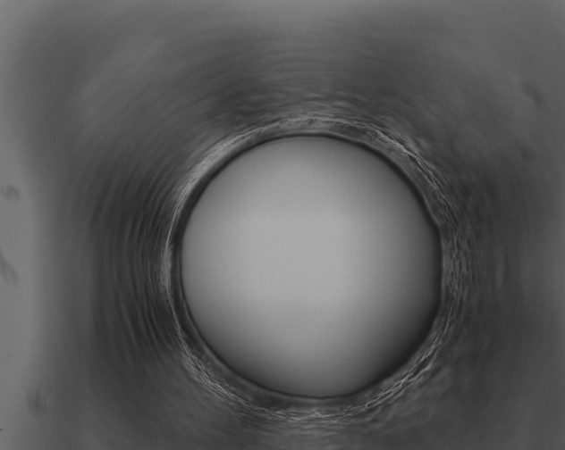 X0000091100100200708061031