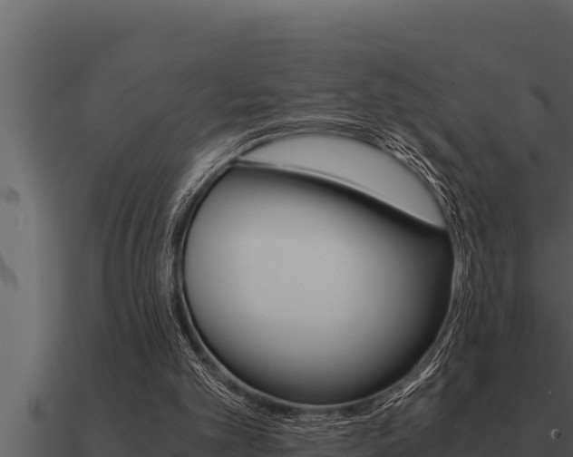 X0000091100101200708061031