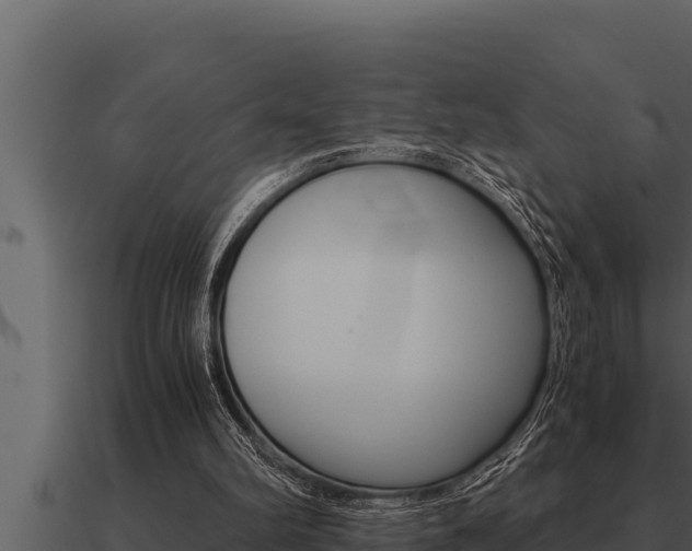 X0000091100102200708061031