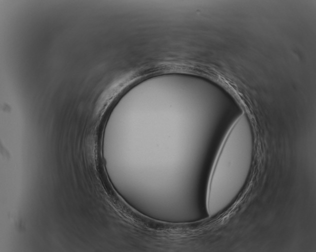 X0000091100103200708061031