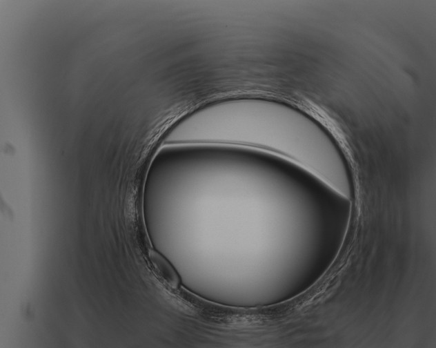 X0000091100105200708061031