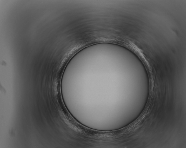 X0000091100106200708061031