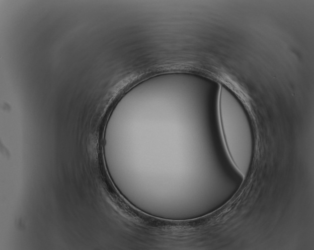 X0000091100107200708061031