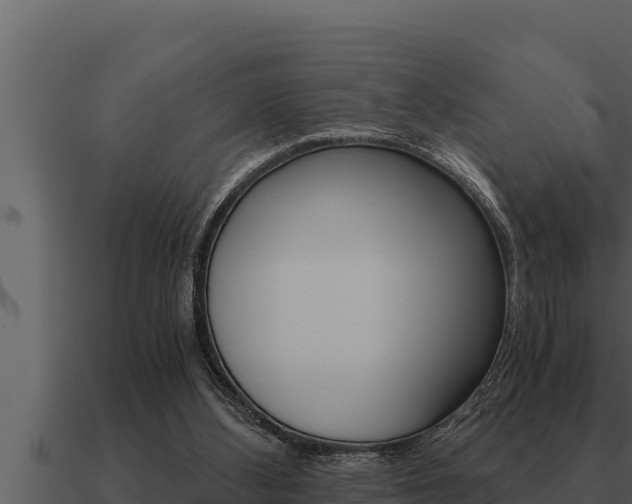 X0000091100108200708061031