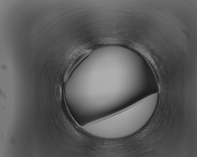 X0000091100109200708061031