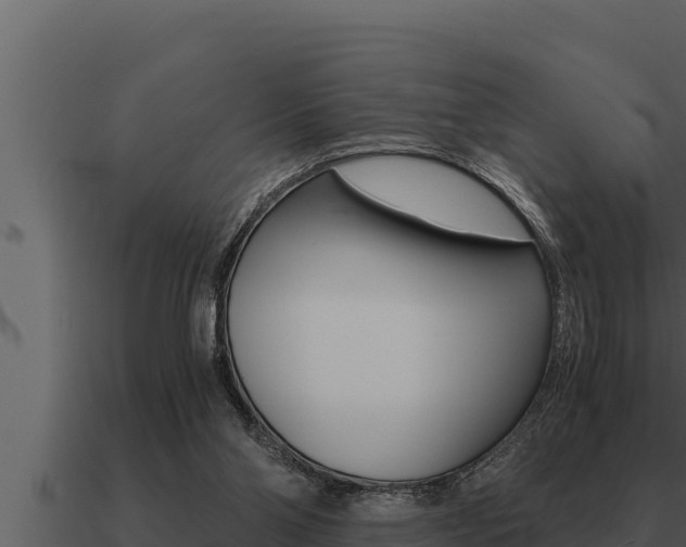 X0000091100110200708061031