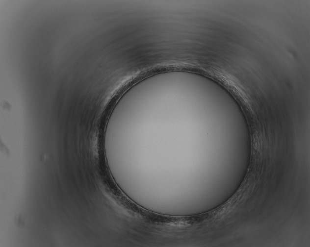 X0000091100112200708061031