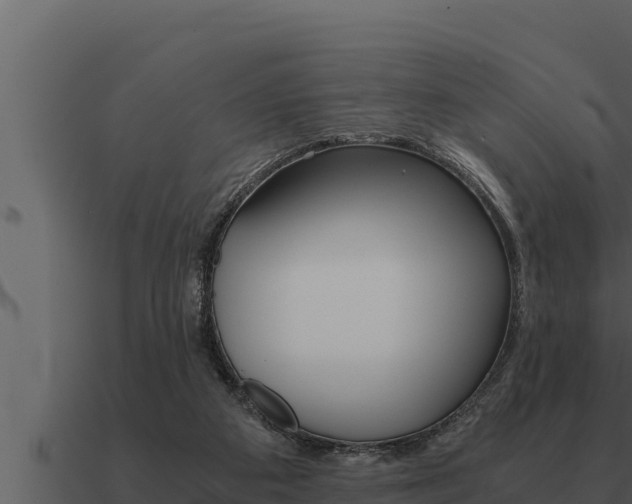 X0000091100113200708061031