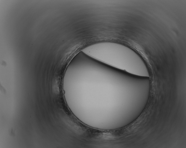 X0000091100114200708061031