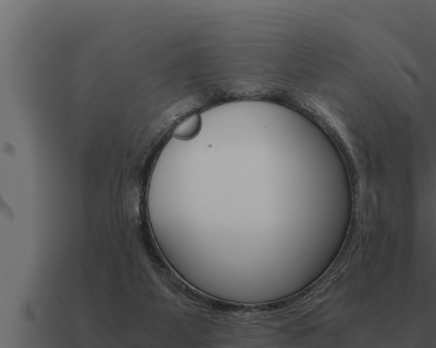 X0000091100115200708061031