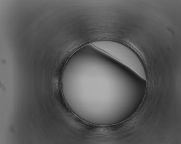 X0000091100117200708061031