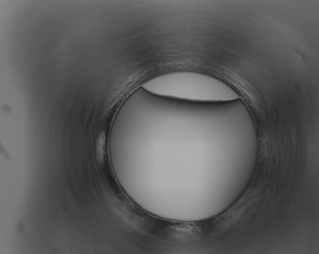 X0000091100118200708061031