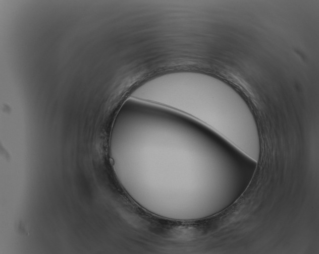 X0000091100119200708061031