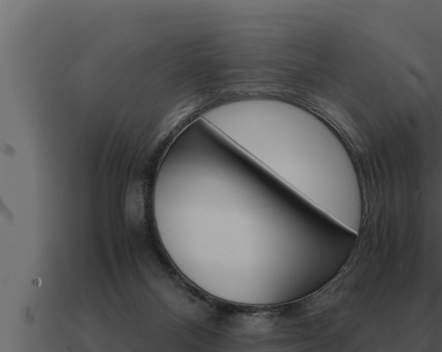 X0000091100120200708061031