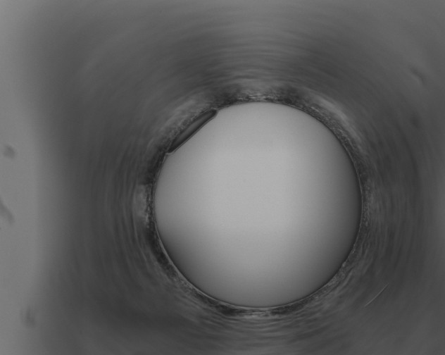 X0000091100121200708061031