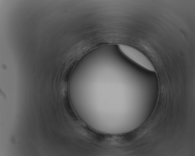 X0000091100125200708061031