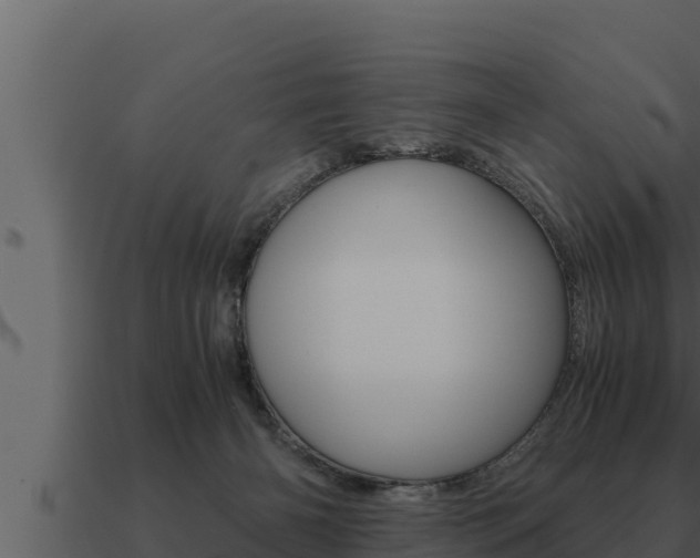 X0000091100126200708061031