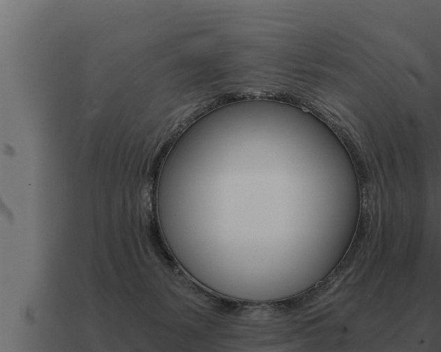 X0000091100127200708061031