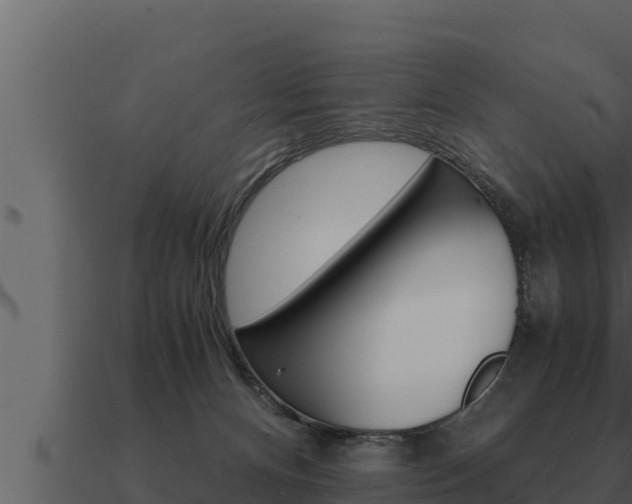 X0000091100128200708061031