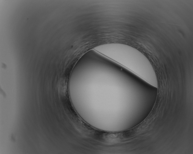 X0000091100129200708061031