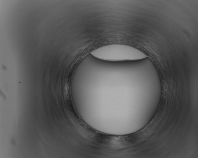 X0000091100130200708061031