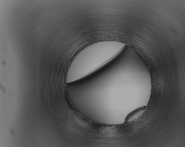 X0000091100132200708061031