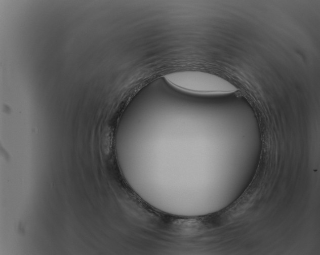 X0000091100133200708061031