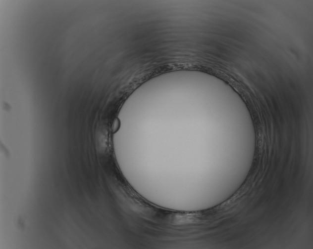 X0000091100134200708061031