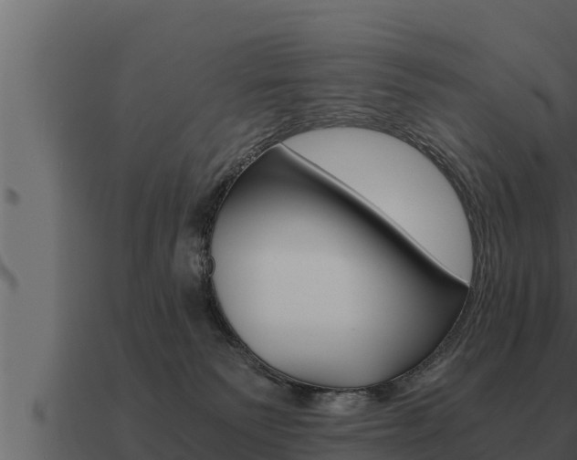 X0000091100135200708061031