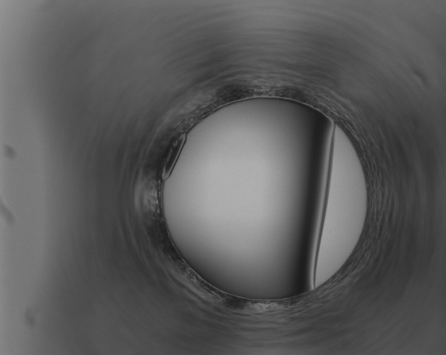 X0000091100137200708061031