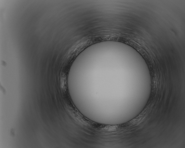 X0000091100138200708061031