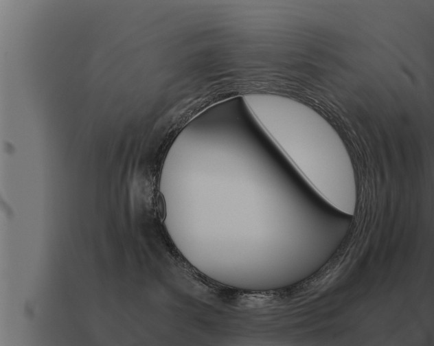 X0000091100139200708061031