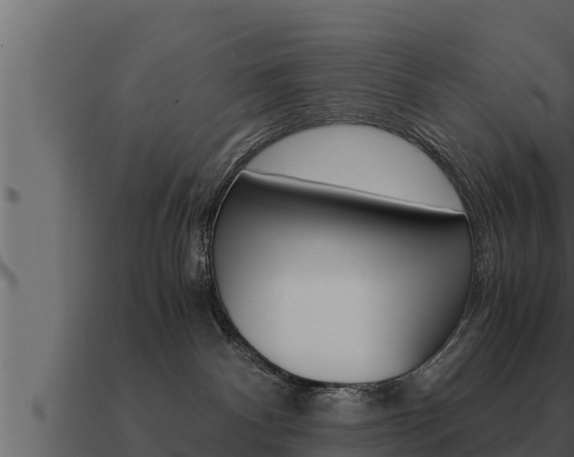 X0000091100140200708061031