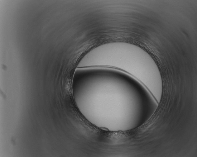 X0000091100141200708061031