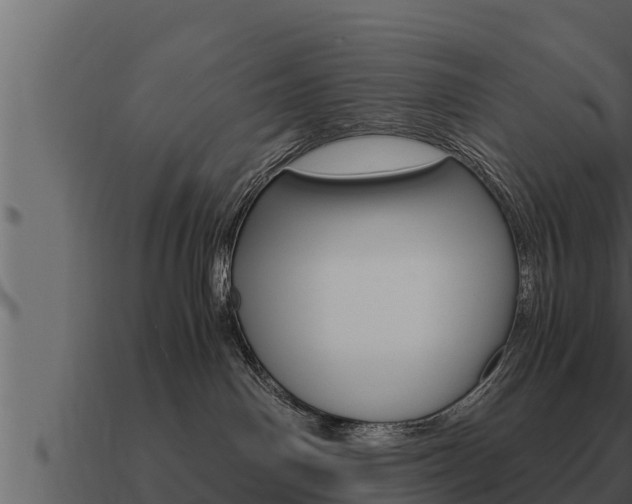 X0000091100142200708061031