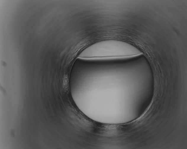 X0000091100144200708061031