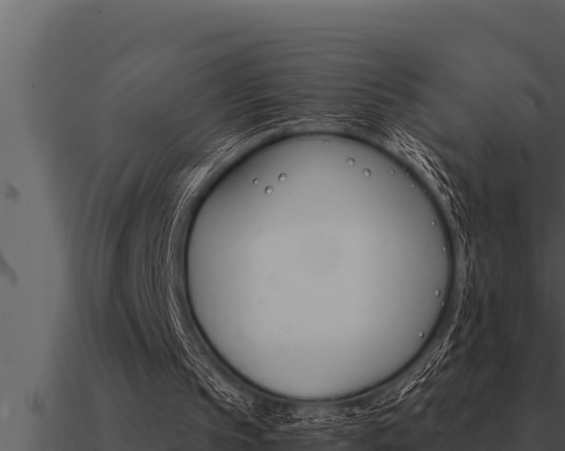 X0000091100145200708061030