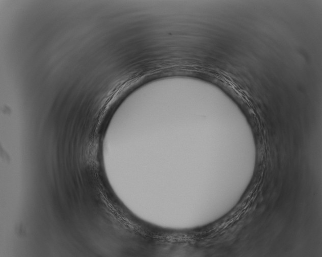 X0000091100146200708061030