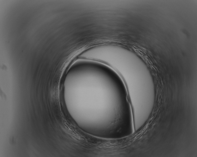 X0000091100148200708061030