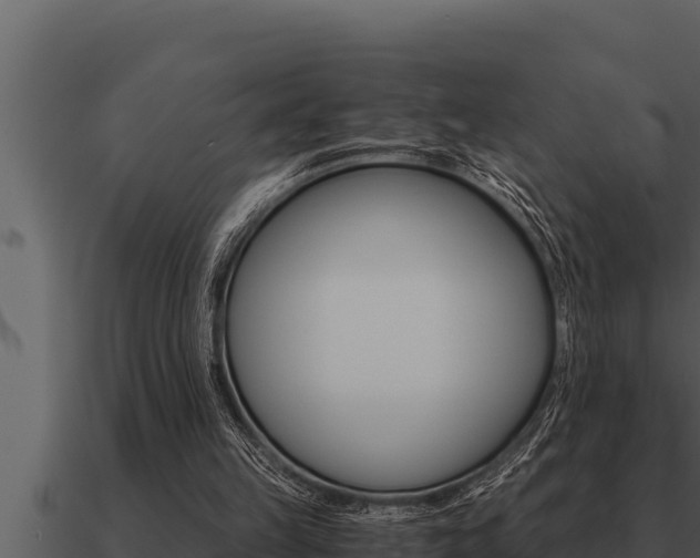 X0000091100149200708061030