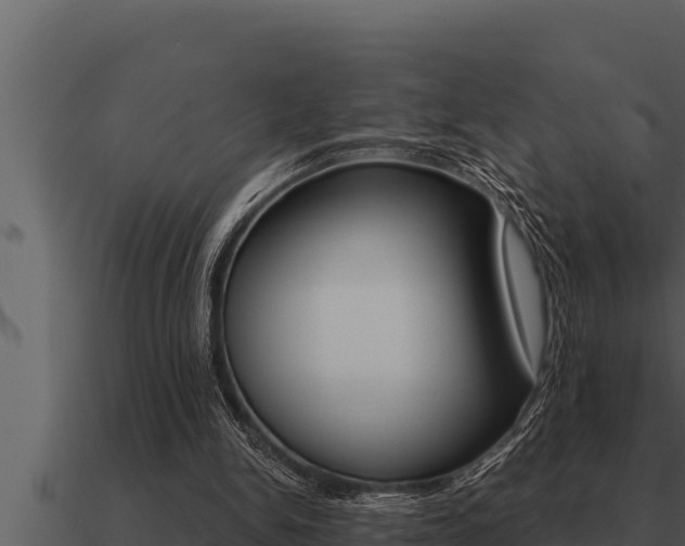 X0000091100150200708061030