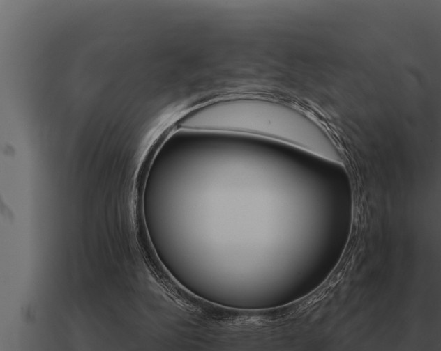 X0000091100152200708061030